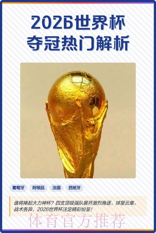 全球顶级赛事：世界杯夺冠热门深度解析